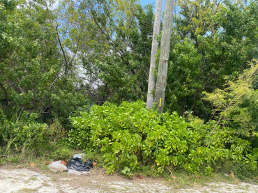 VACANT LAND AND TWO HOUSES IN THE CORAL ...