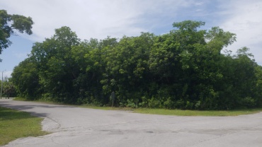 BB-218  GREENING GLADE SUBDIVISION, UNIT 2, BLOCK 21, LOT 7, MULTI-FAMILY CORNER LOT AT MIDSHIPMAN ROAD-APPROX HALF ACRE FOR SALE